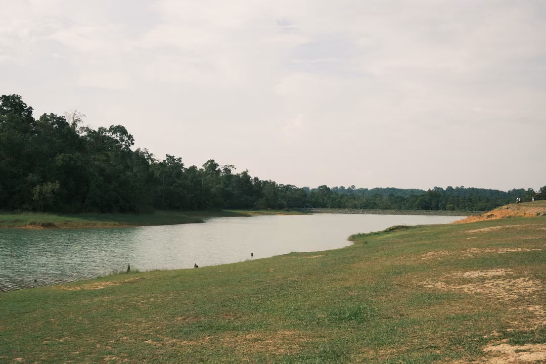 A lake shoreline curving into the distance along a grassy slope, forest on the far side under grey sky.