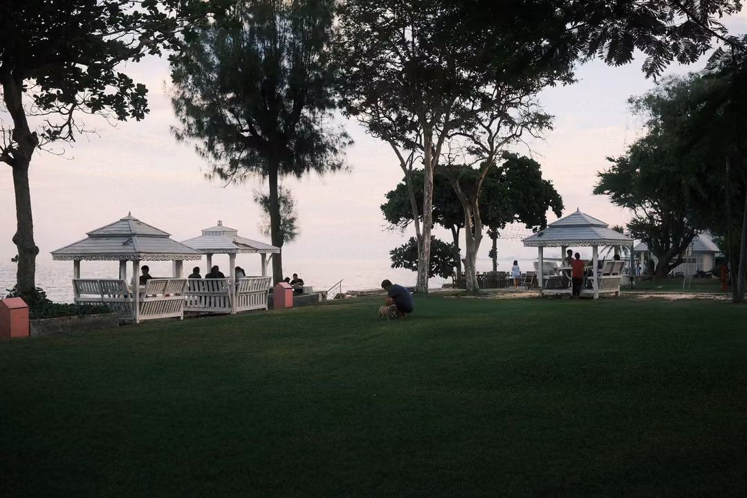 Lawn under tall trees leading to white seaside gazebos at dusk, small groups of people sitting by the water