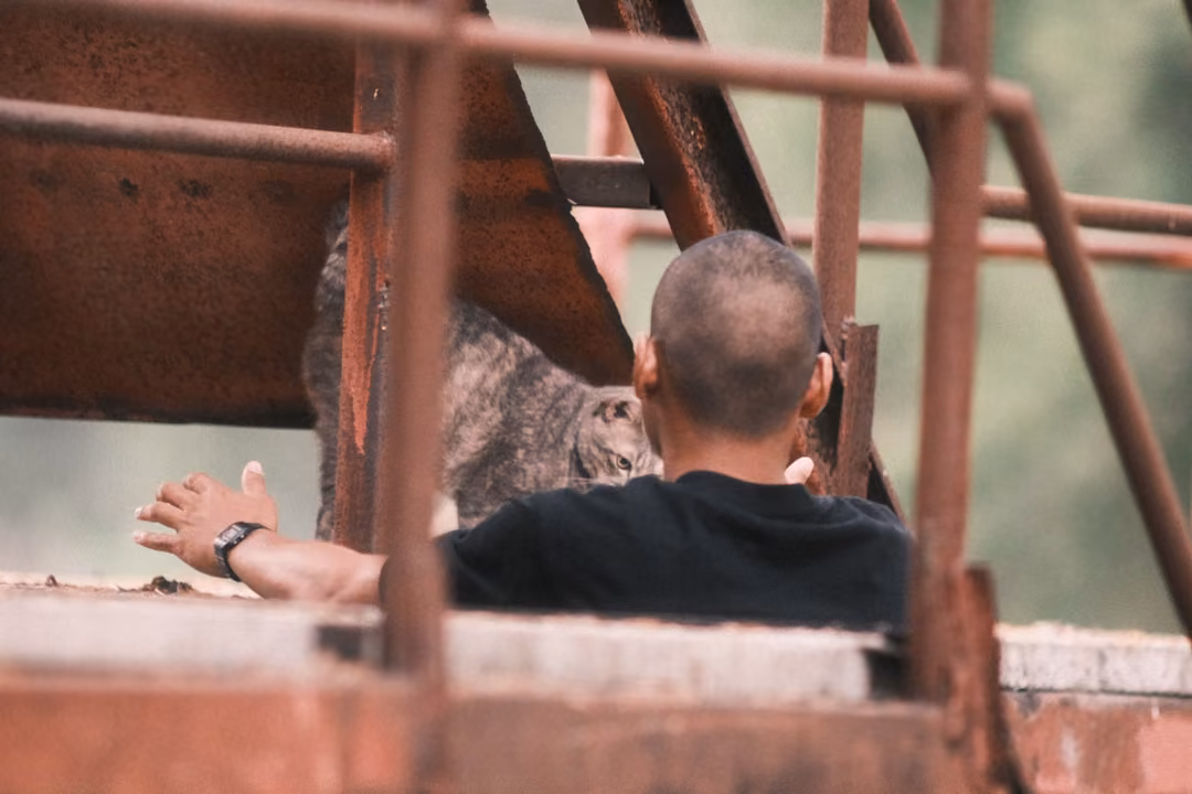 A man seen from behind sits on a rusty platform, arm outstretched, a tabby cat pressed against his side