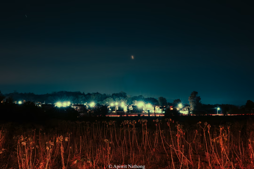 Dark field of dry plants lit red in the foreground, a distant line of lights along the horizon under a teal night sky