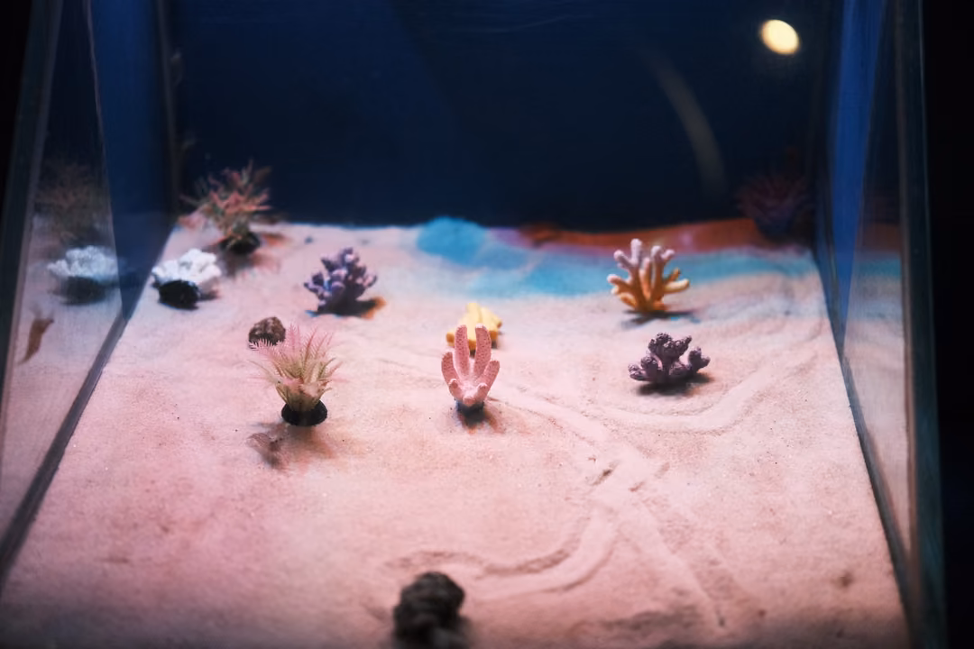 A small tank with pink sand and colourful artificial corals arranged in rows, a lamp glowing above