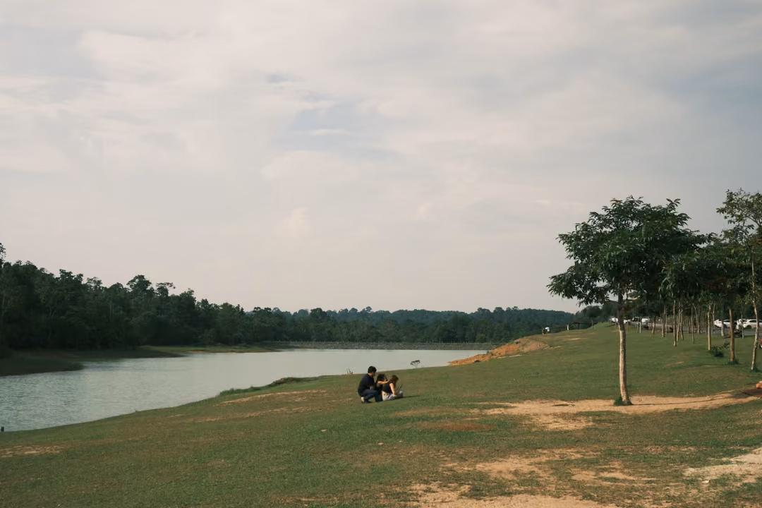 Two people sit together on the grass beside a lake, under a row of young trees and a cloudy sky.