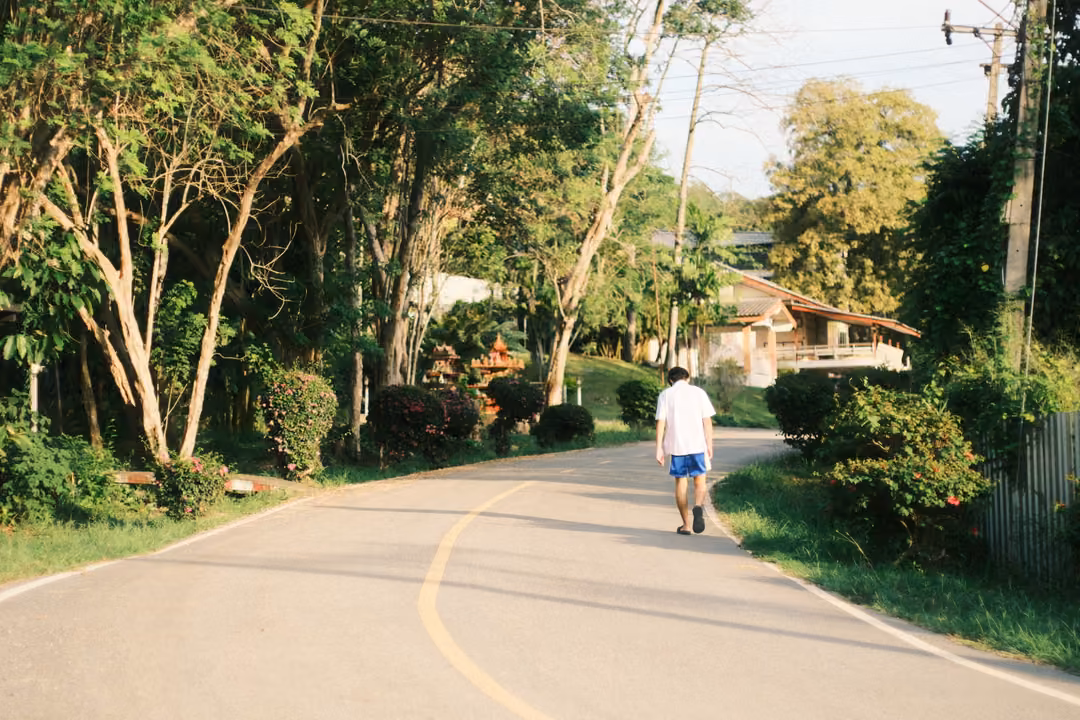 Distant figure in a white shirt and blue shorts walking along a curving road under tall trees