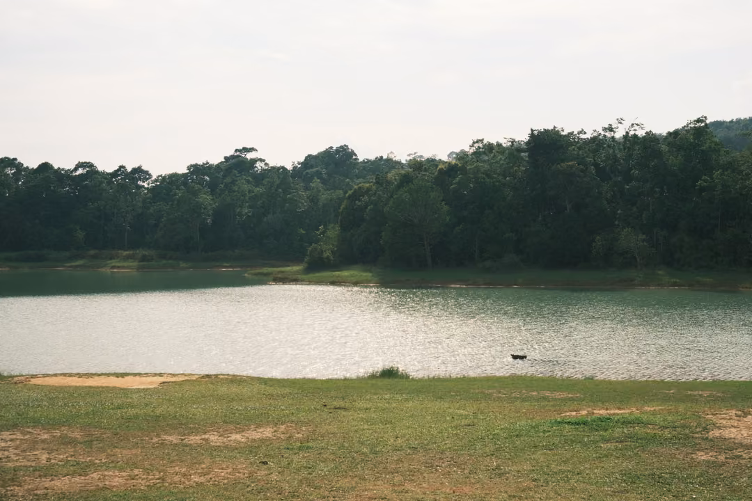 A wide lake with a dark object floating near the shore, grassy bank in front and forest behind.