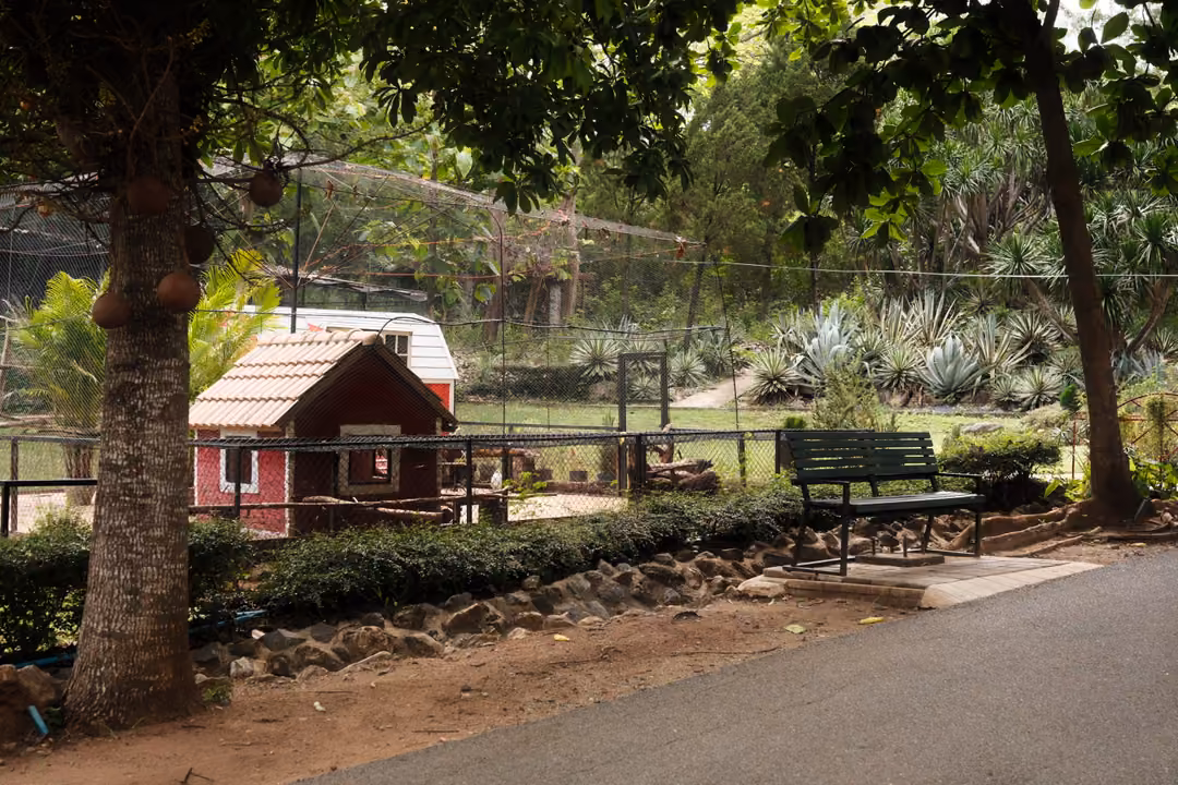 Small red barn-style hut behind a fence, beside a green bench, a tree and a paved path