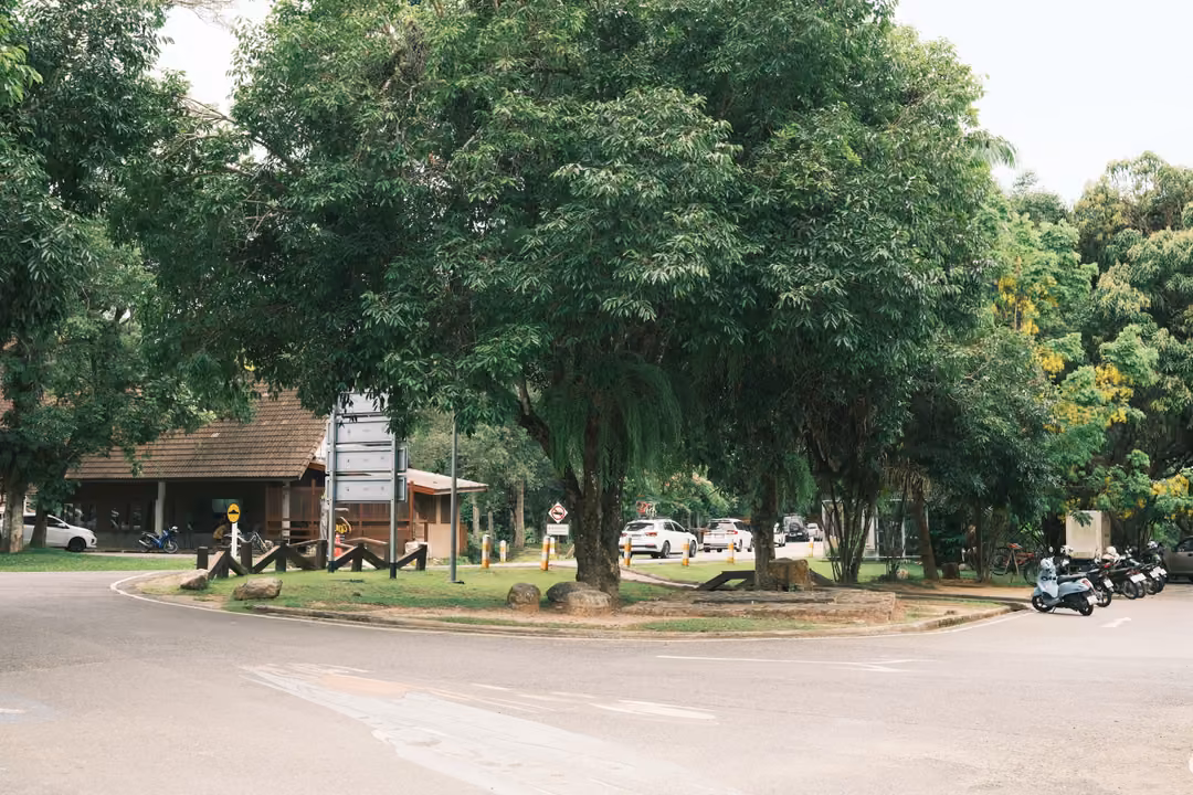 A quiet roundabout with large leafy trees, a sign and low buildings behind, cars parked nearby