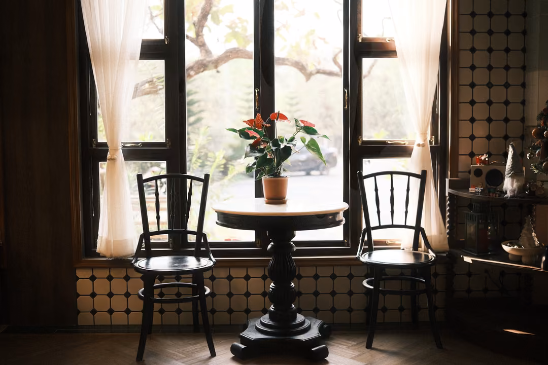 Round dark pedestal table with a potted red anthurium between two bentwood chairs at a bright window