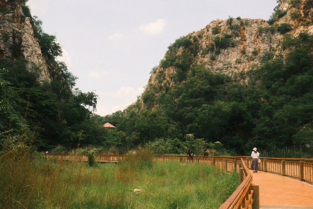 Wooden-railed walkway curving through tall grass toward two forested hills, a figure in a hat in the distance
