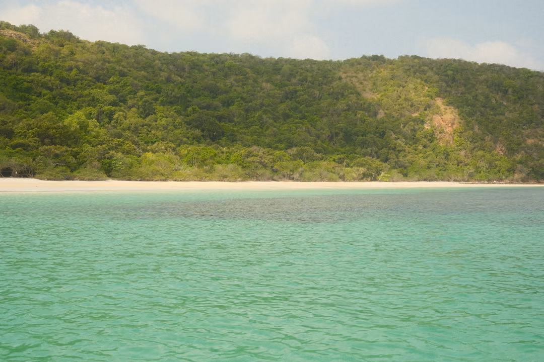 A wooded hillside above a strip of white sand and clear turquoise shallows.