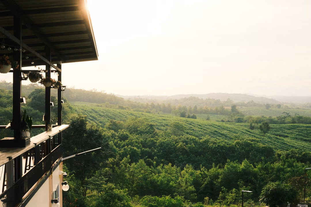 The edge of a building's terrace with railing and lights at left, overlooking hazy green fields and forest.