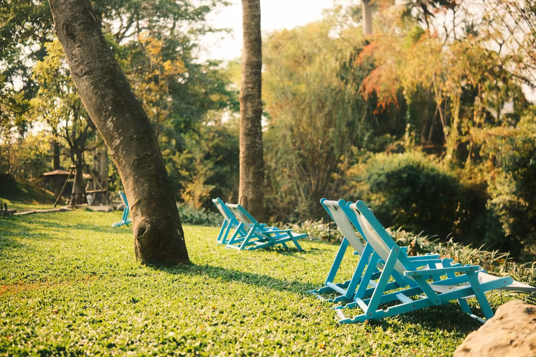 Several teal wooden deck chairs on a sunny lawn under leaning tree trunks and leafy trees