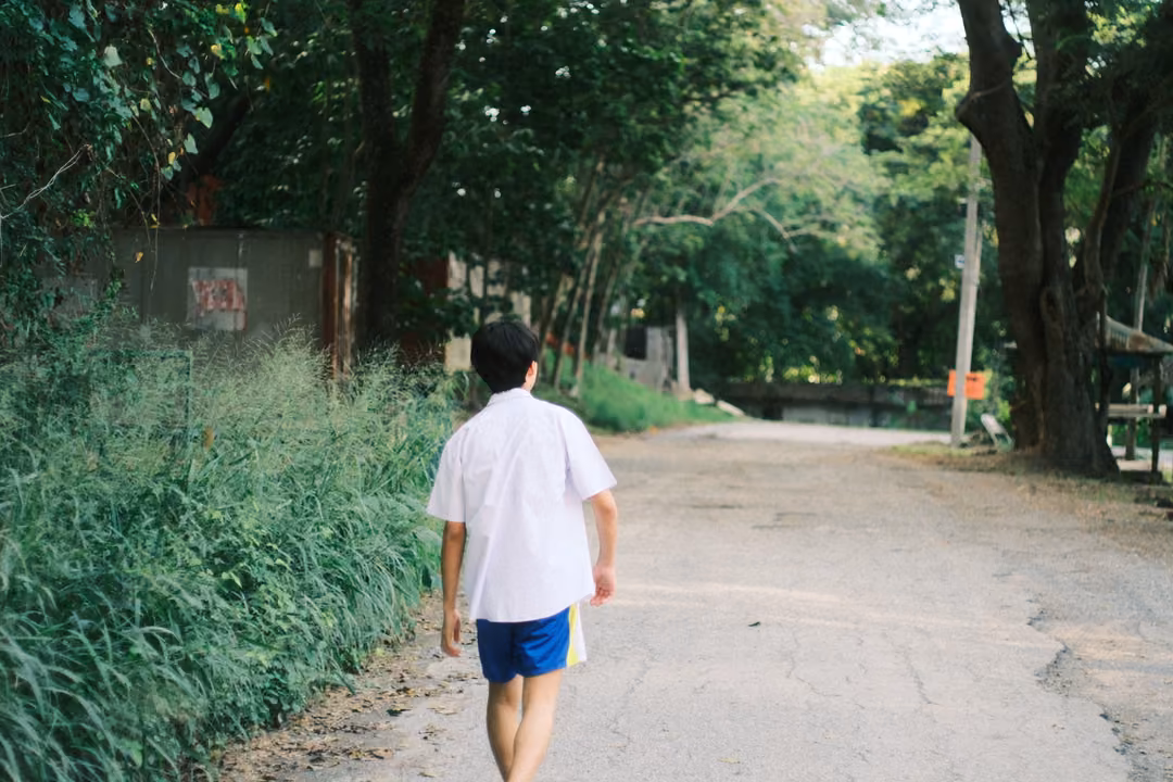 Figure in a white shirt and blue shorts walking away down a tree-lined lane beside tall grass