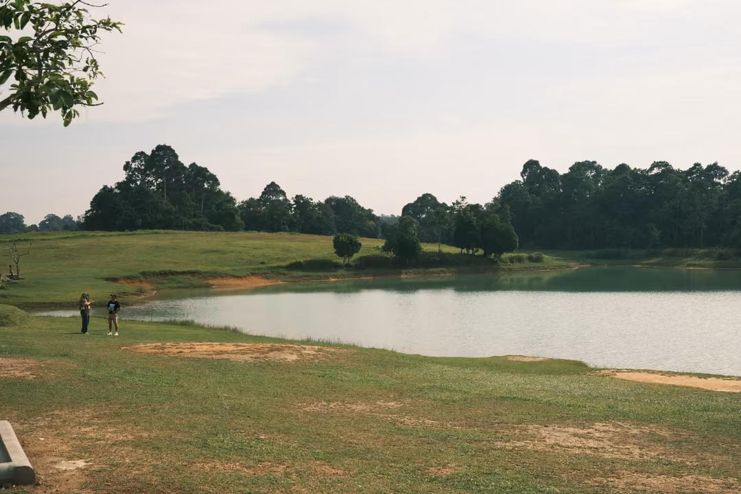 A reservoir with grassy banks, two figures standing near the water and a dark line of forest beyond.