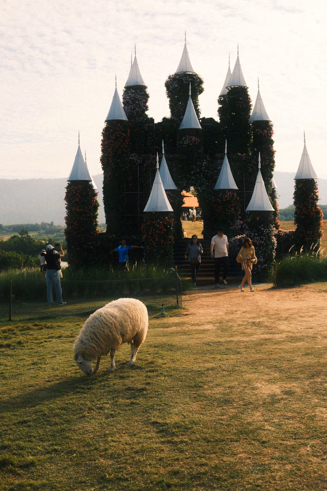 Upright view of a sheep grazing before the flower-covered castle with white spires and visitors.