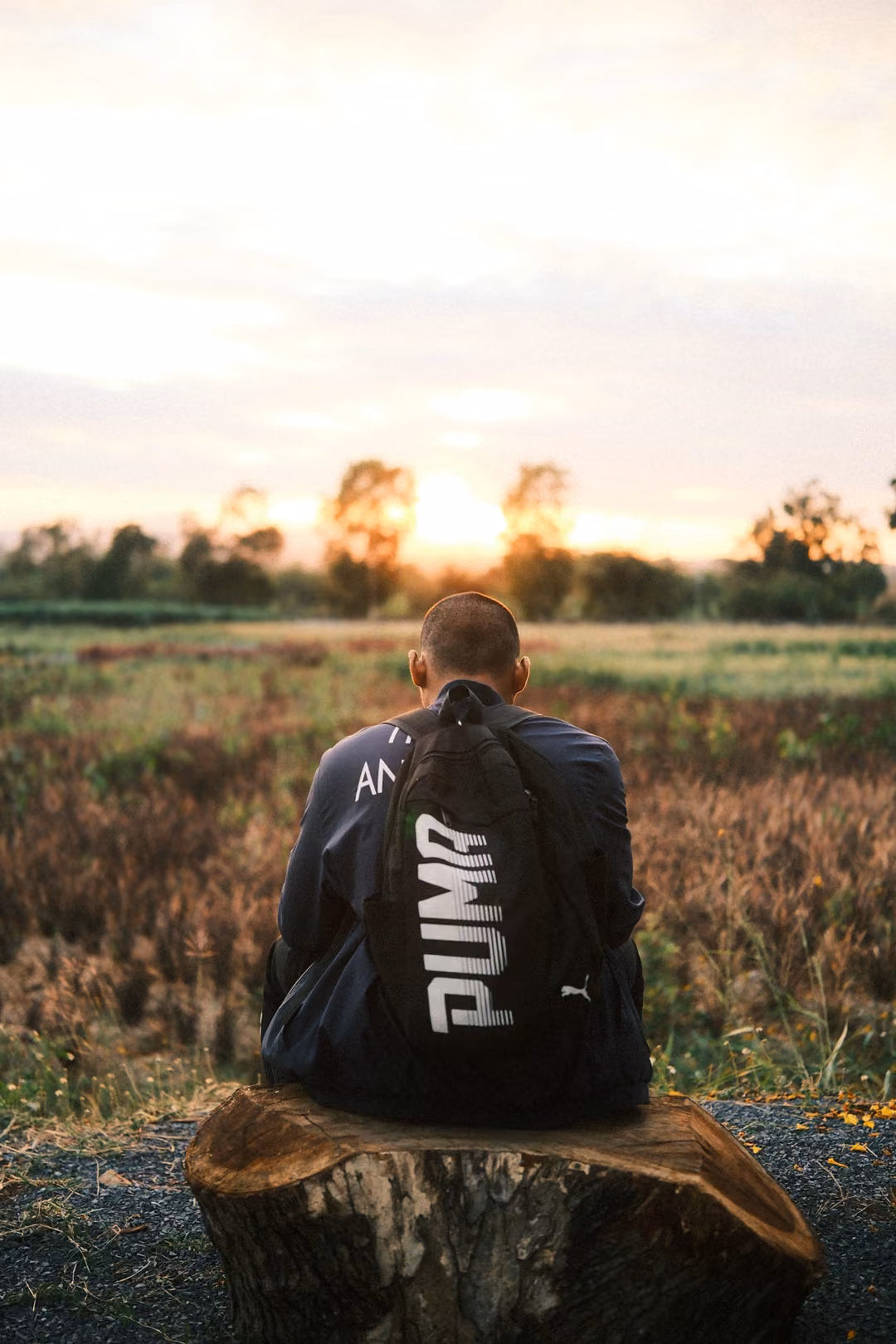 Person seen from behind sitting on a tree stump with a PUMA backpack, facing a field and a low setting sun