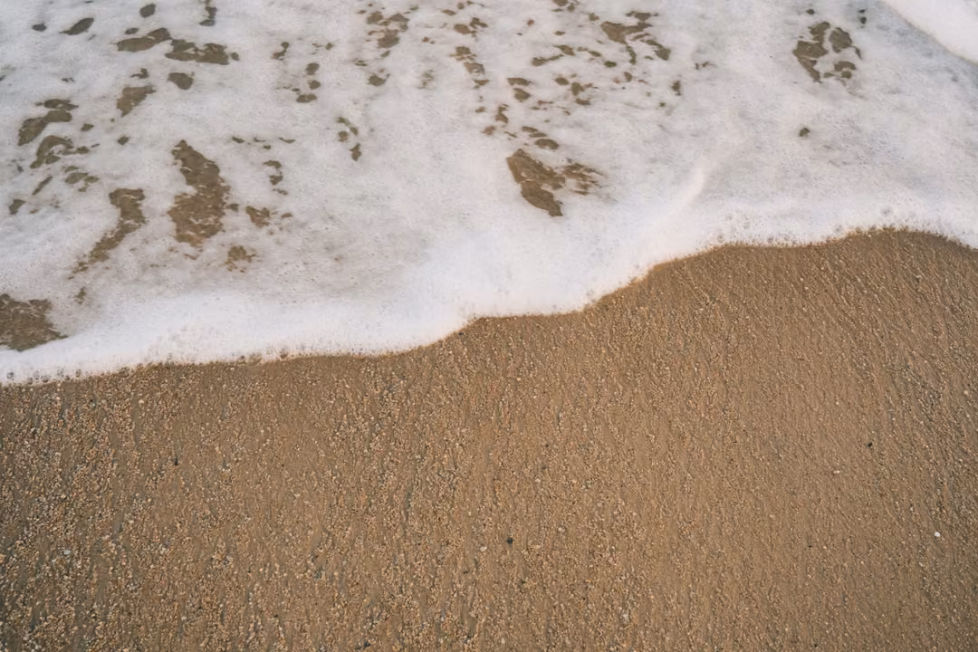 Close view of white sea foam spreading over smooth wet sand