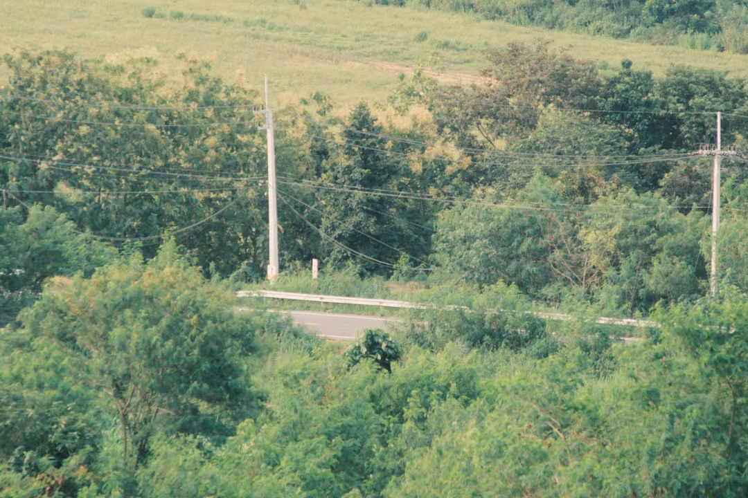 A forested slope with a road and guardrail cutting across it, power poles and a grassy field above.