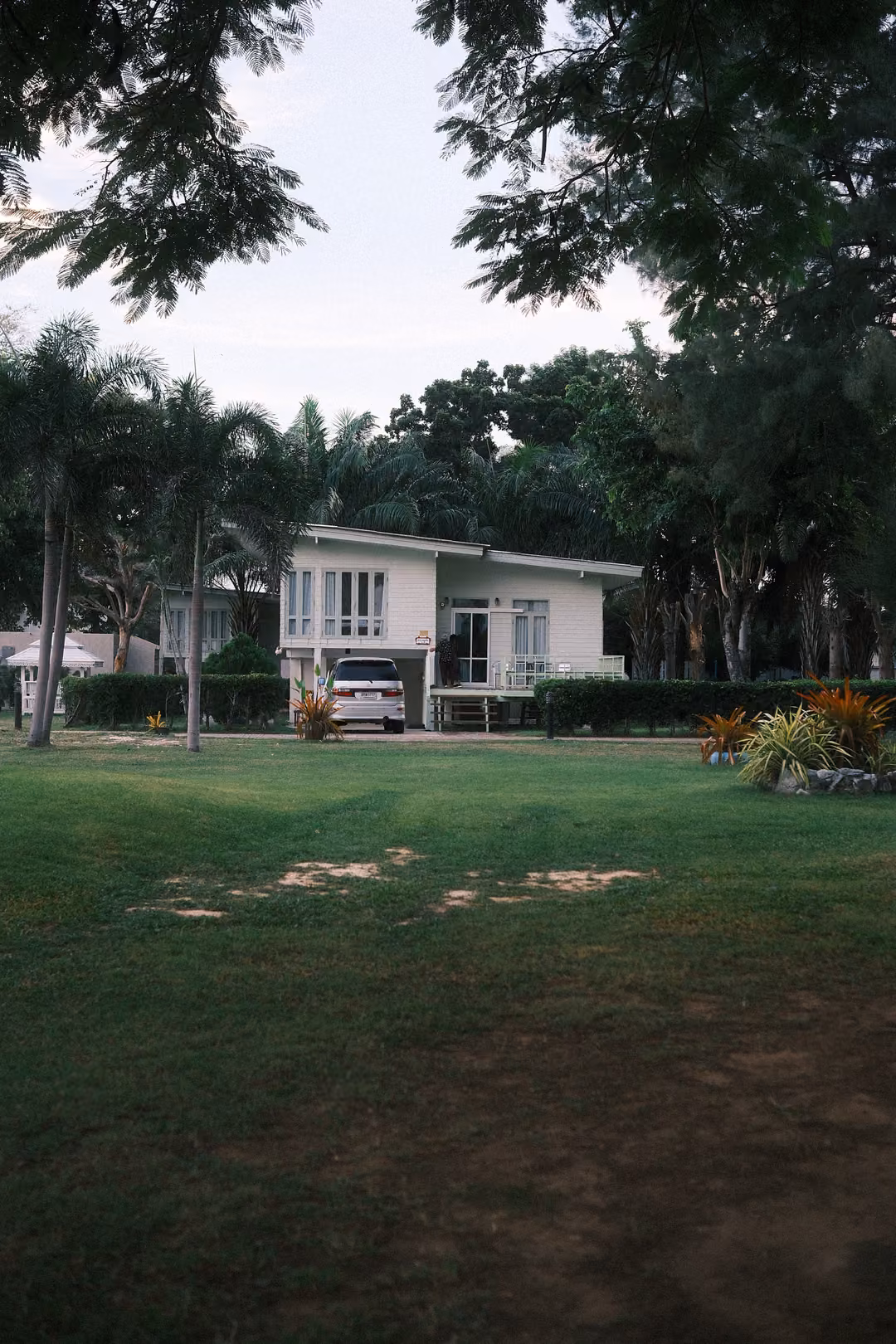 Empty green lawn in front of a white two-storey house with a parked car, framed by overhanging trees