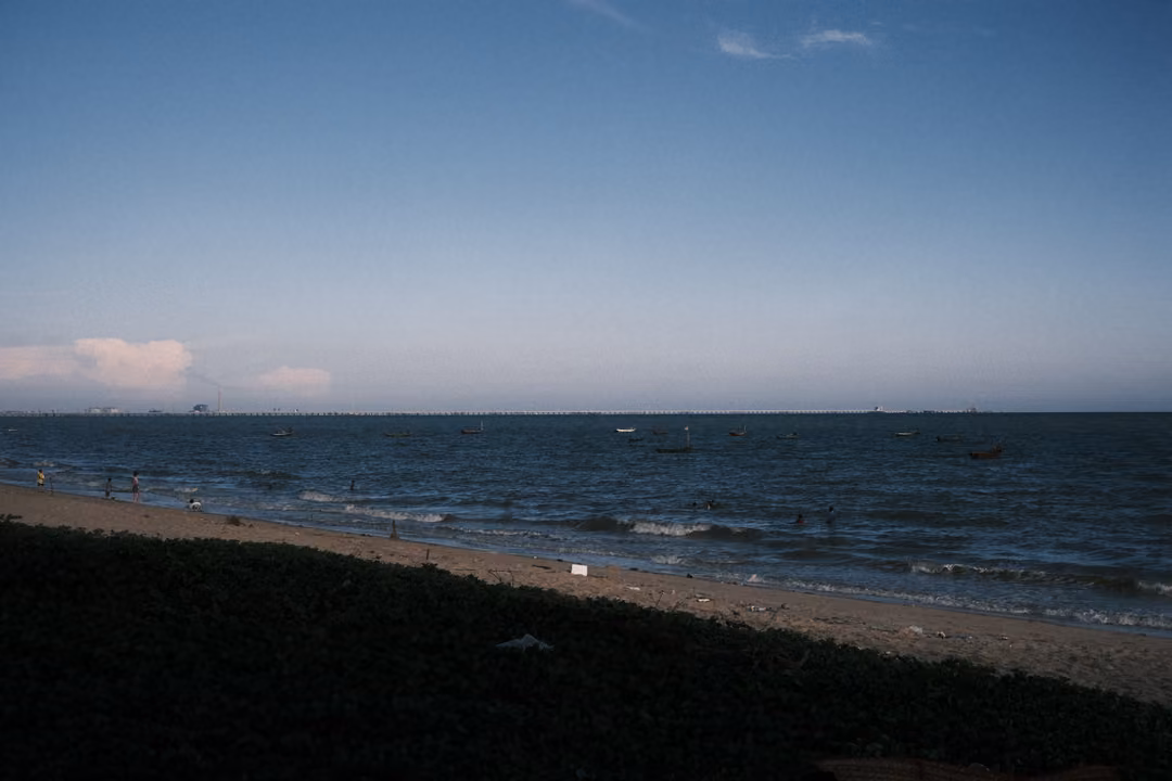Calm sea under a wide blue sky with a few small clouds, dark beach vegetation and sand in the foreground