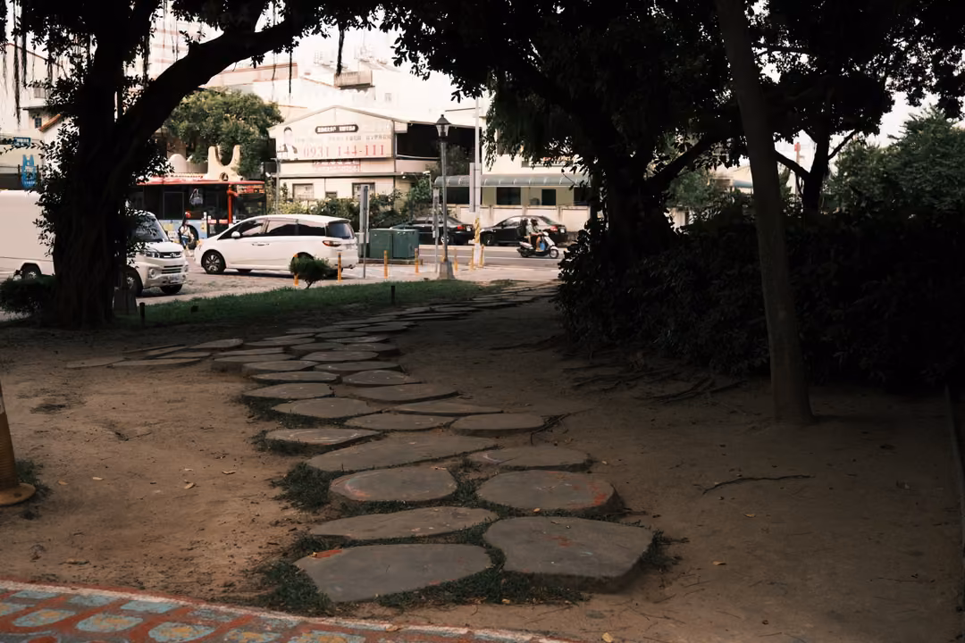 Stepping-stone path curving through a shaded grove toward a street with parked cars and buildings