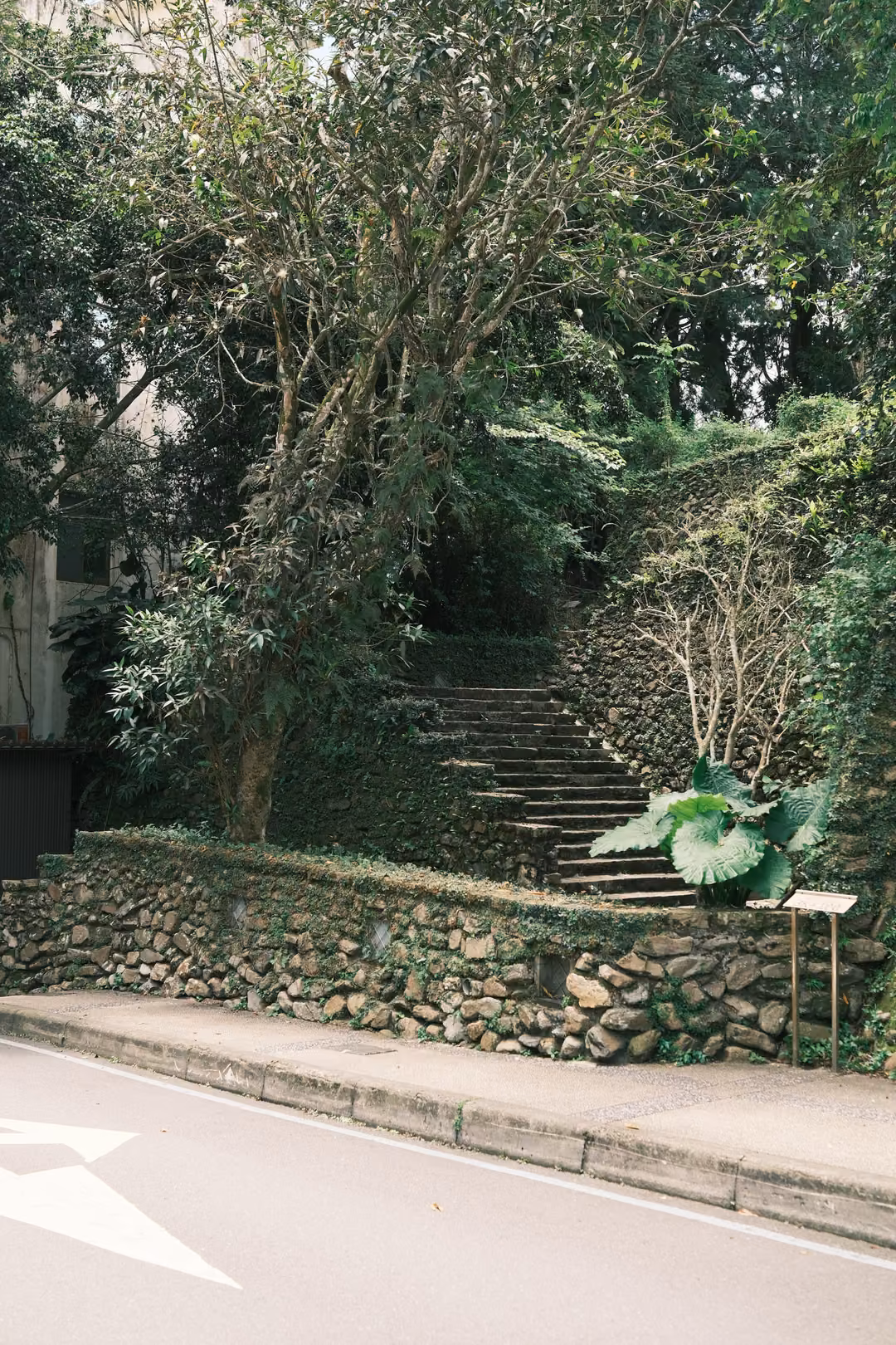 Stone steps climbing a wooded slope above a rock retaining wall beside a quiet road with a painted arrow