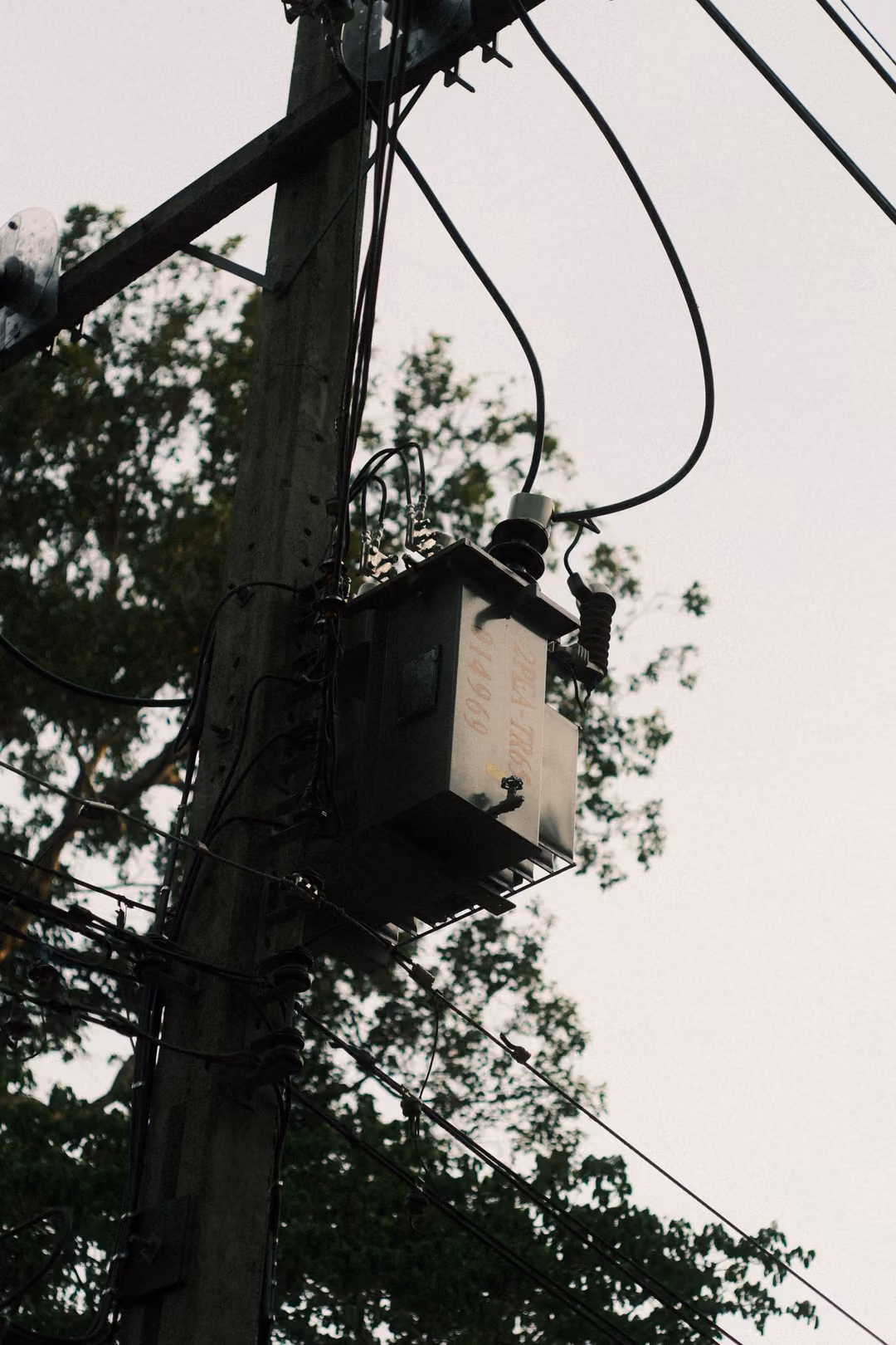 A wooden utility pole with a transformer box and looping cables against a pale sky, leaves around it.