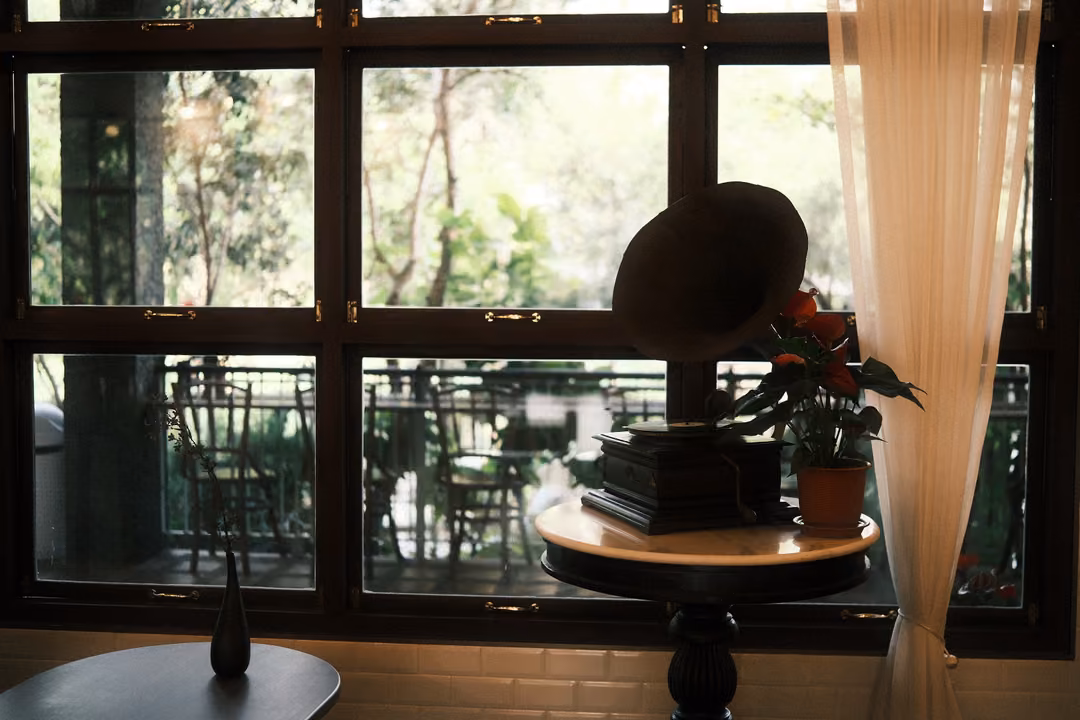 Gramophone with a large horn on a round table beside a potted plant at a tall window with a white curtain