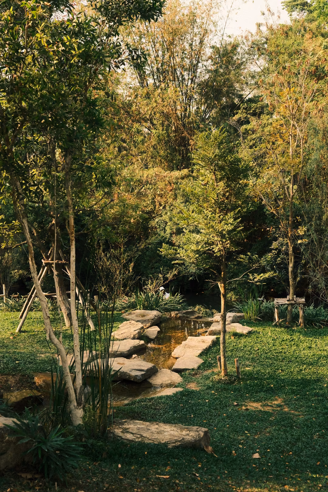 Stepping stones crossing a shallow stream through a lawn, with slender trees on wooden supports