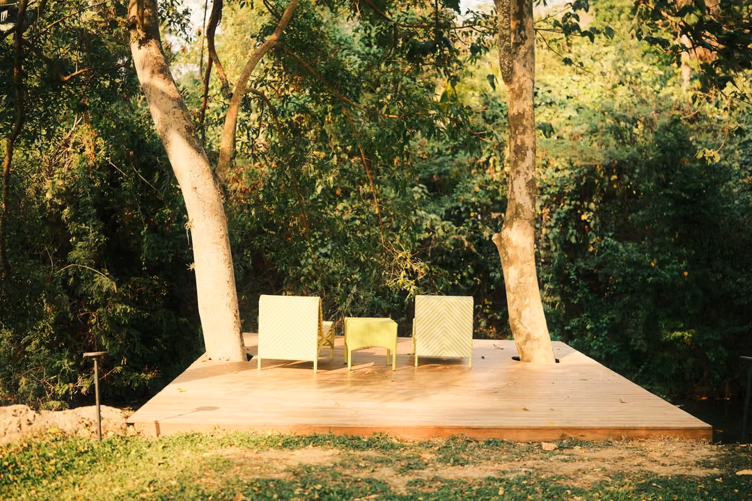 Wooden deck between two pale tree trunks with two pale yellow chairs and a small table, dense green behind