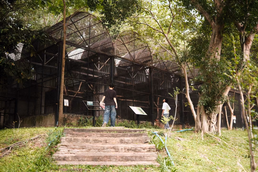 Large dark mesh aviary under tall trees, with stone steps leading up and two people walking alongside