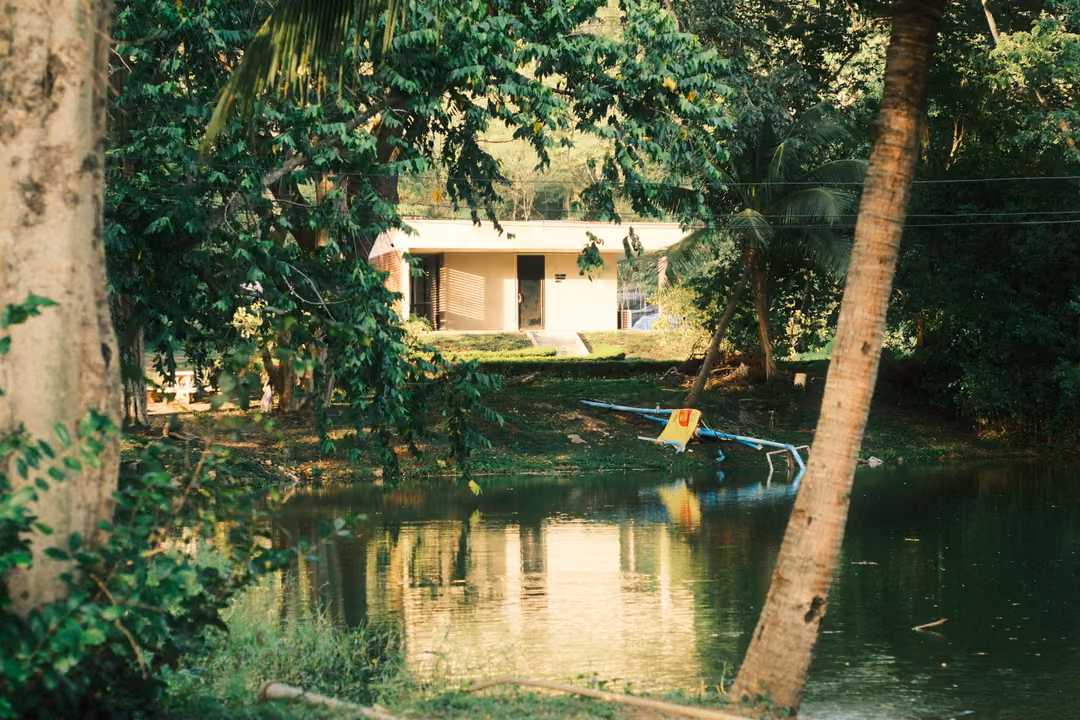 A green pond reflecting a cream building seen through trees, a leaning palm trunk and a yellow sign on a blue pipe.