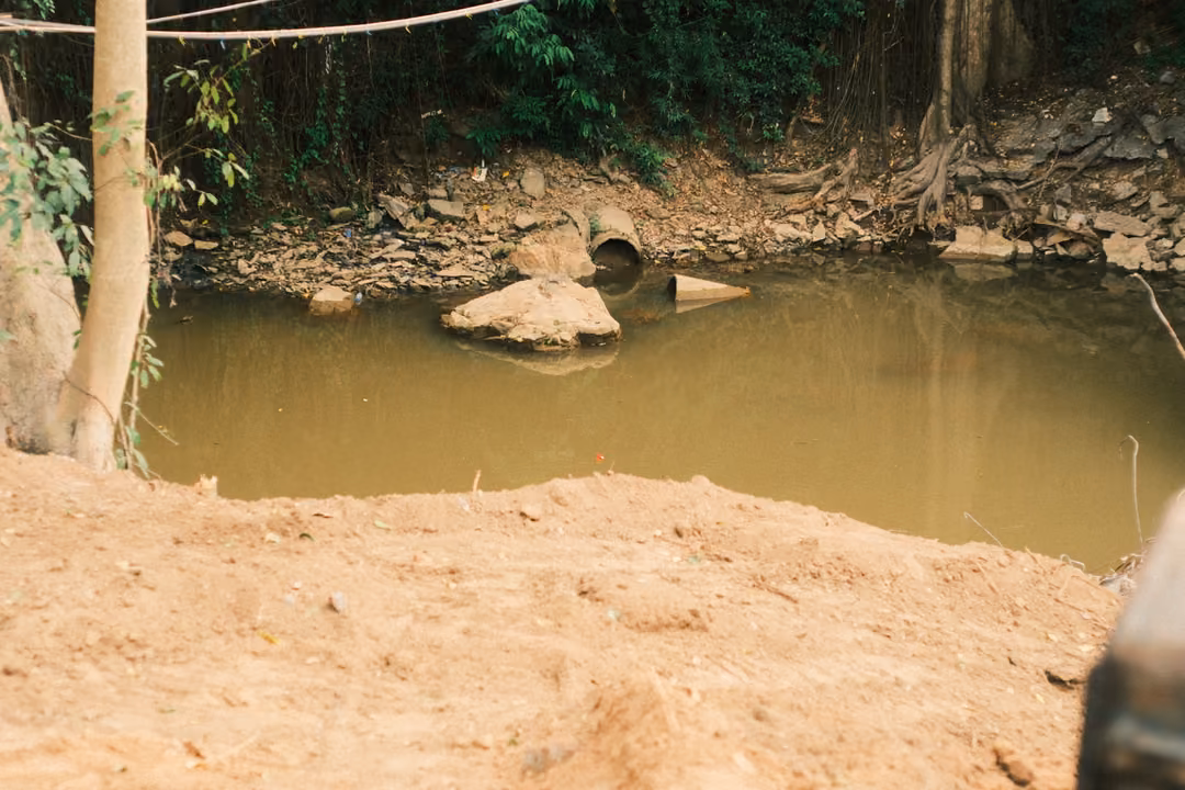 A muddy brown stream with rocks and a pipe outlet below a stony bank, a pale tree trunk and dirt mound in front.
