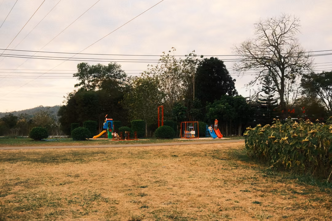 Open dry grass field with a small colourful playground, trees and power lines under an overcast evening sky