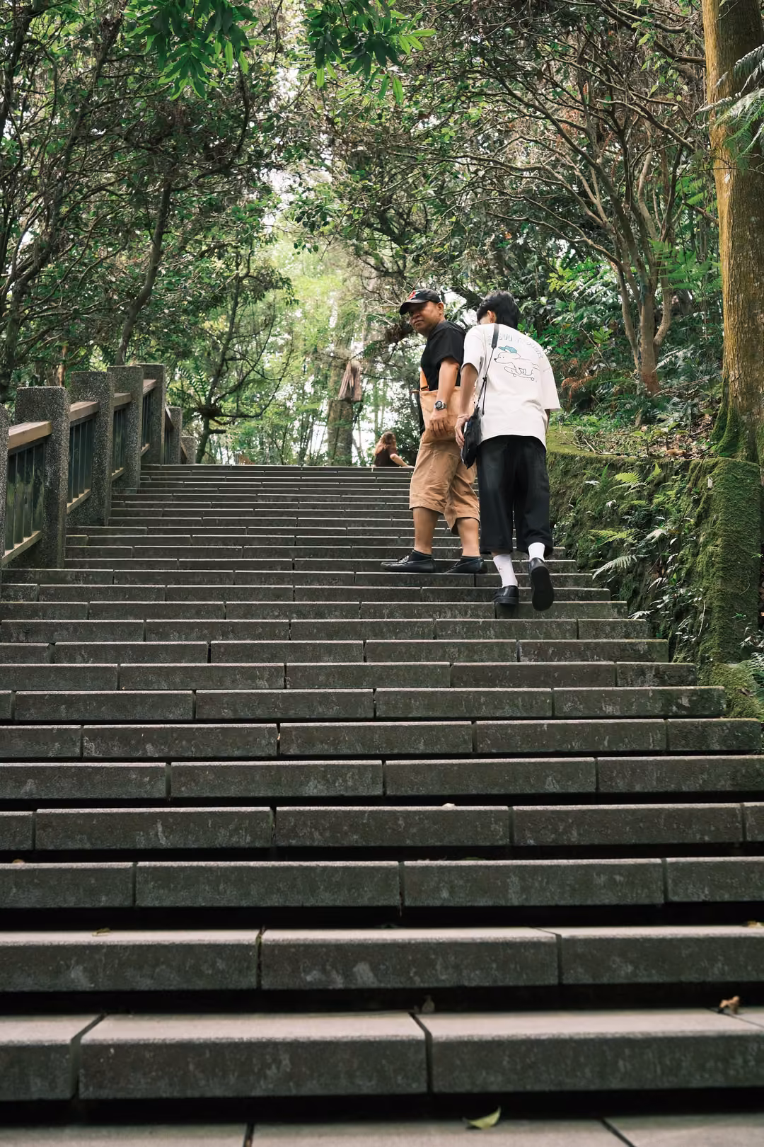 Long flight of grey stone steps rising into a tree tunnel, two people near the top looking back
