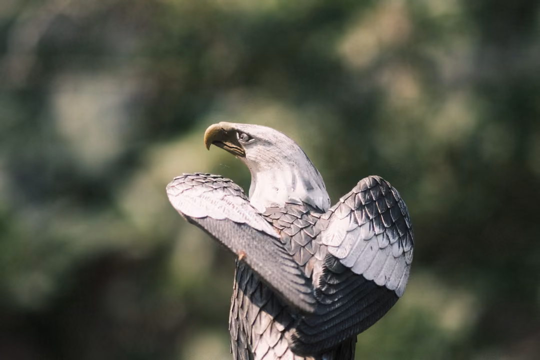 A painted eagle statue with half-spread wings and a white head, against a blurred green background.