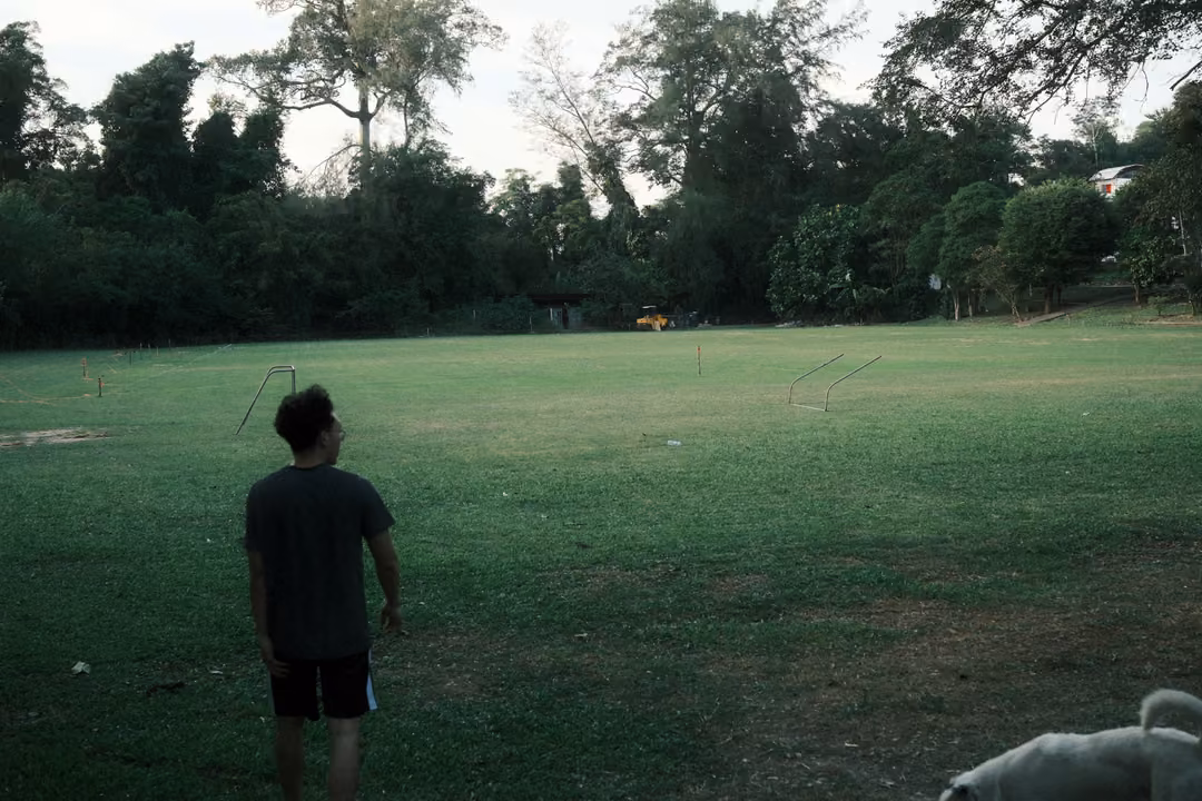 Person seen from behind standing on a wide grassy field near trees, a white dog at the corner