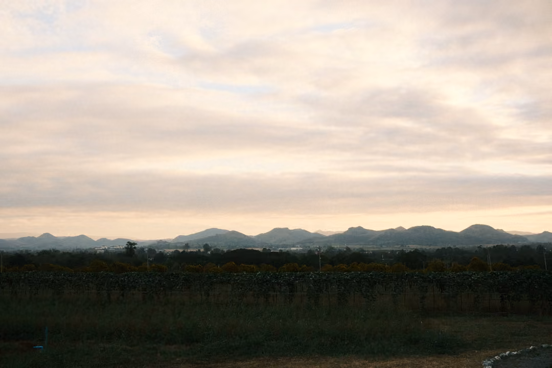 Low mountain range on the horizon beneath a broad sky of pale grey and pink clouds, dark fields in front