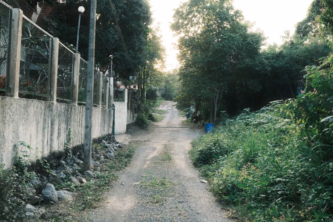 Narrow dirt lane between a fenced concrete wall and thick green vegetation, a lamp post above
