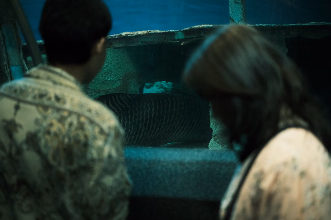 Two visitors seen from behind, looking into a dim tank where a large fish rests on the bottom