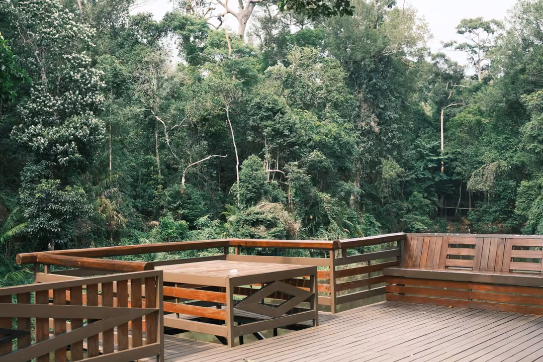 An empty wooden deck with built-in benches and a table, dense forest beyond the railing
