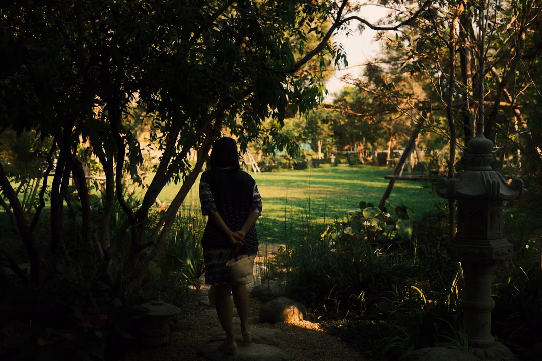 Person seen from behind with hands clasped, standing on a shaded garden path facing a sunlit lawn