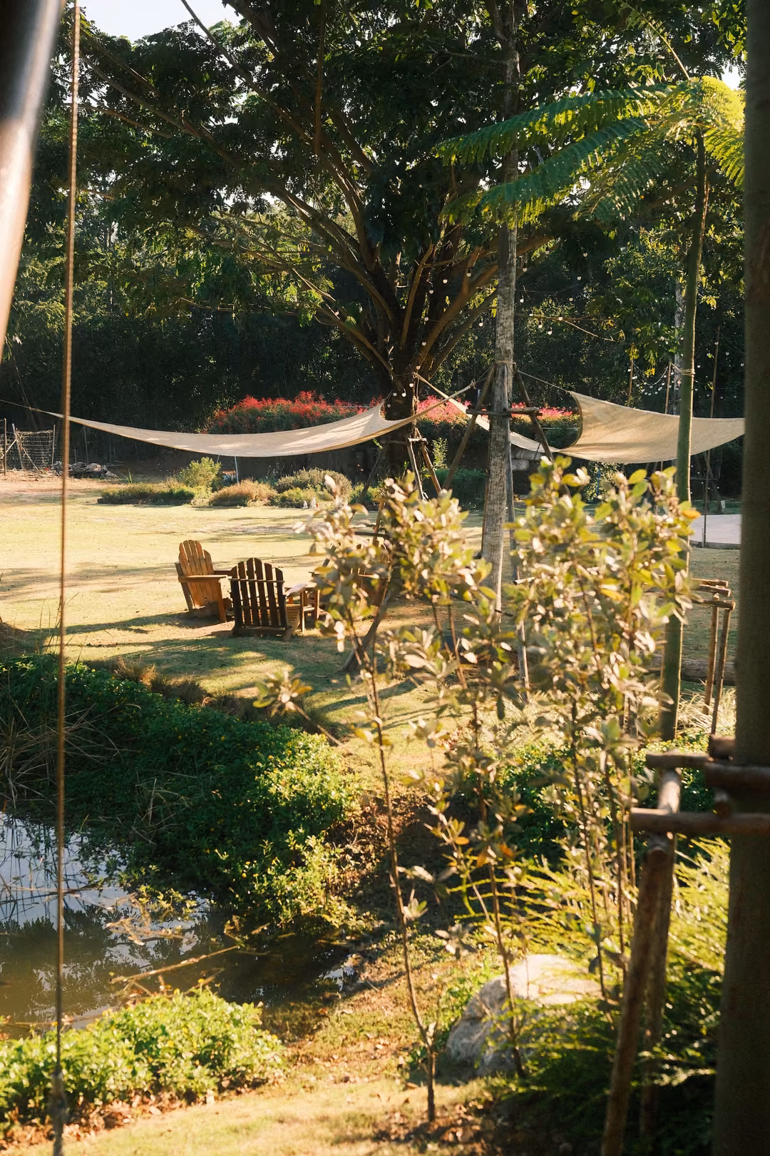 Garden with canvas shade sails, wooden lounge chairs on a lawn, a pond and young trees in sunlight