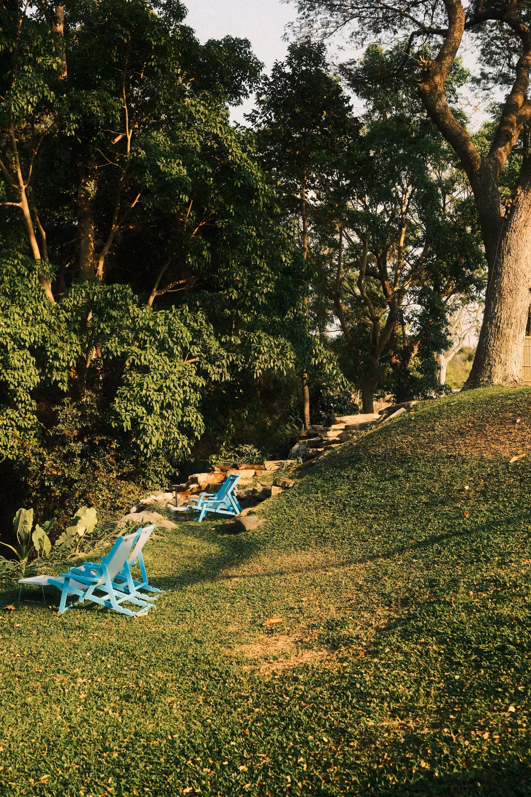 Two teal deck chairs on a sloping lawn beneath tall trees and leafy shrubs