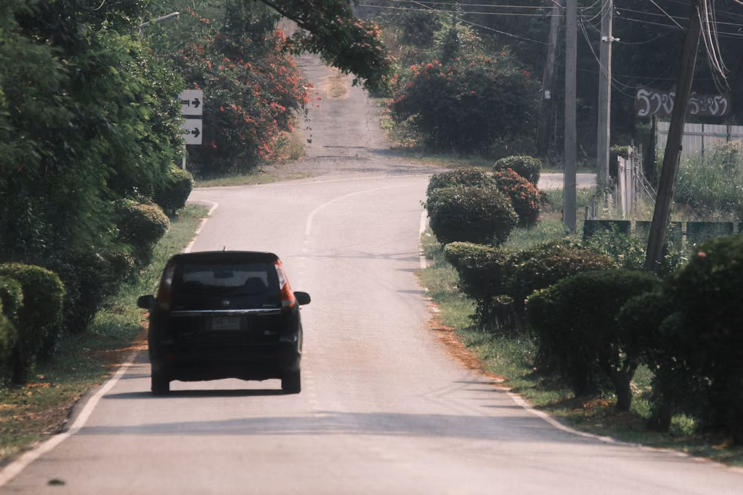 A dark car driving away along a quiet road lined with trimmed hedges, bougainvillea and power poles.