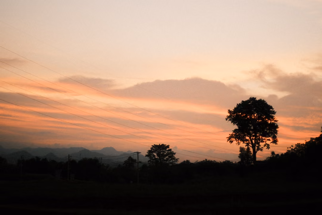 Lone tree silhouetted against an orange and pink streaked sky, distant hills and dark fields