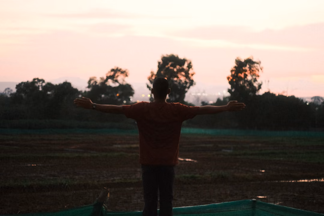 Person in a red T-shirt seen from behind with arms stretched wide over a dark field at dusk