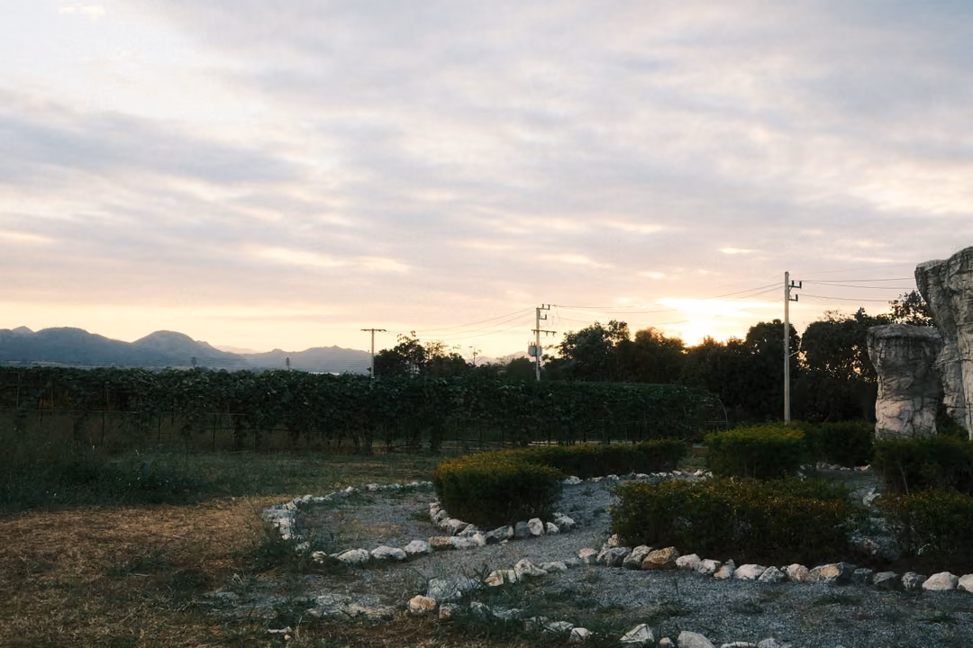 Garden of curving hedges and white stone borders, a rough stone pillar at the edge and mountains under evening cloud