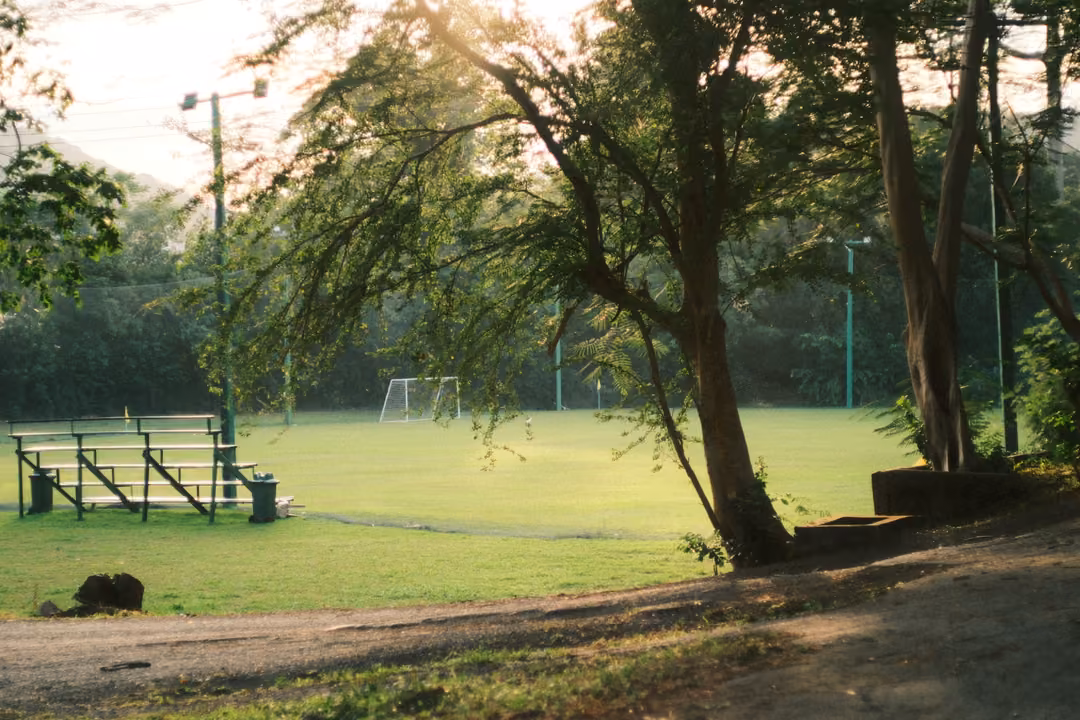 A green football field with metal bleachers and a goal, seen through backlit trees beside a dirt path.