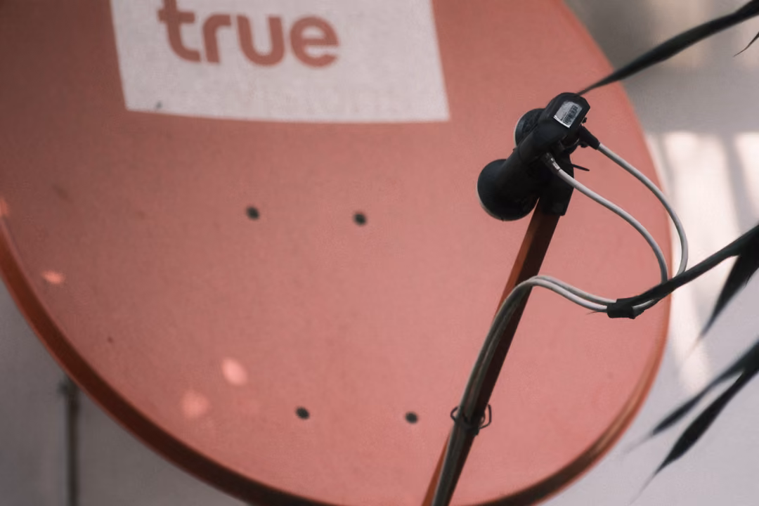 A red satellite dish with a white true logo and a black receiver arm, a dark leaf at the right edge.