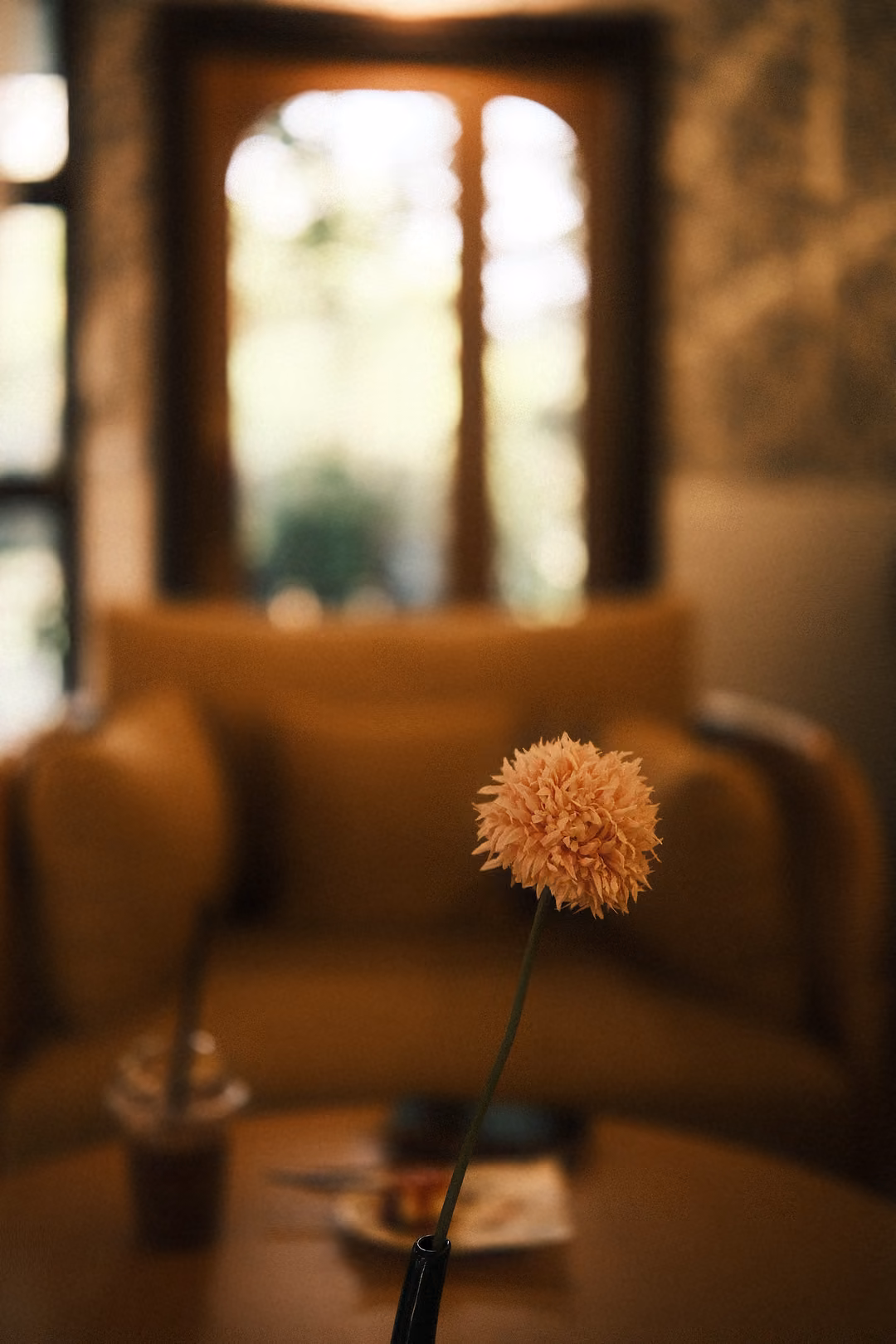 Orange pom-pom flower on a long stem in focus, with a blurred sofa, drink and window behind